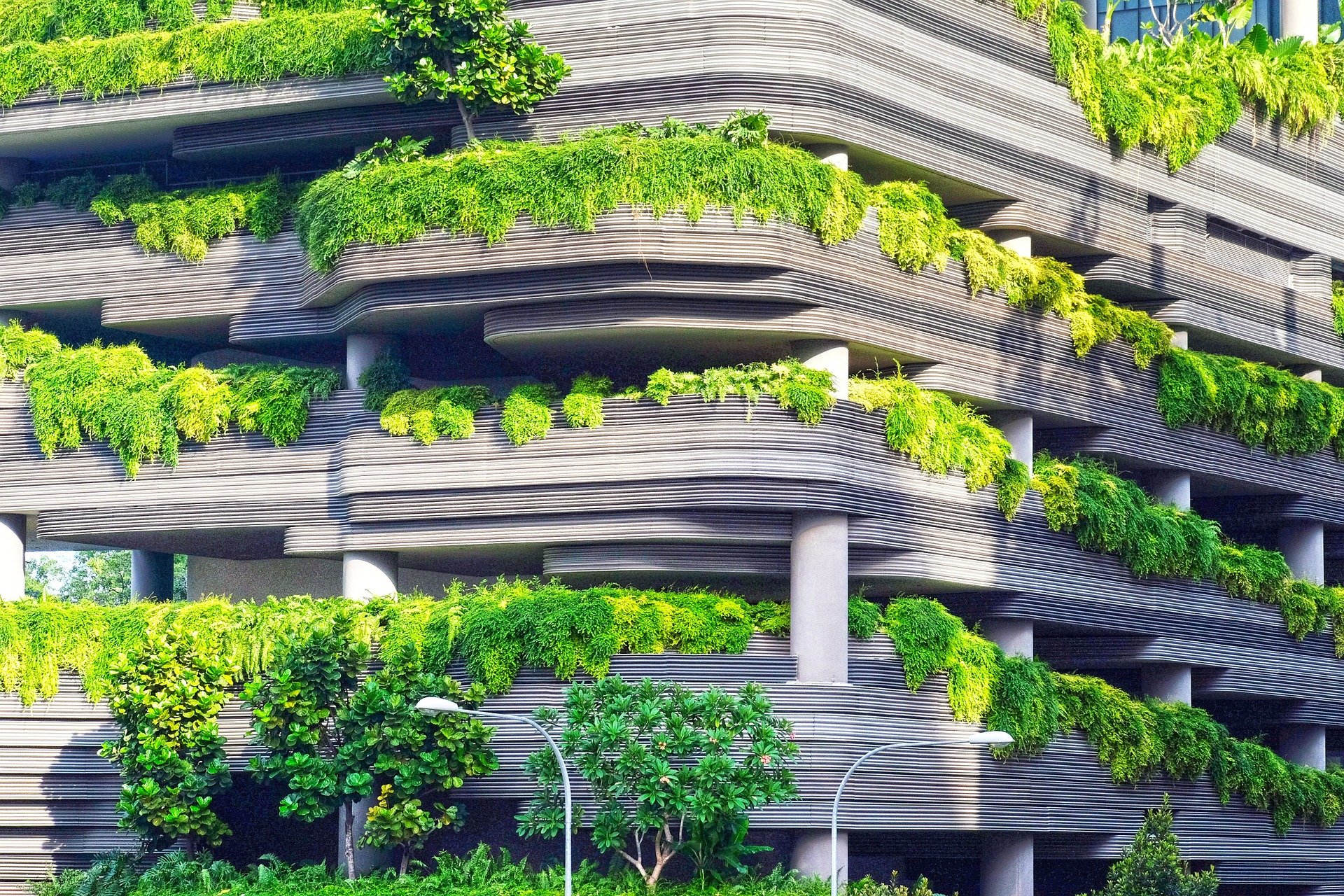 Architecture & Design https://rayple.com/wp-content/uploads/2021/12/Architecture-Design.jpg