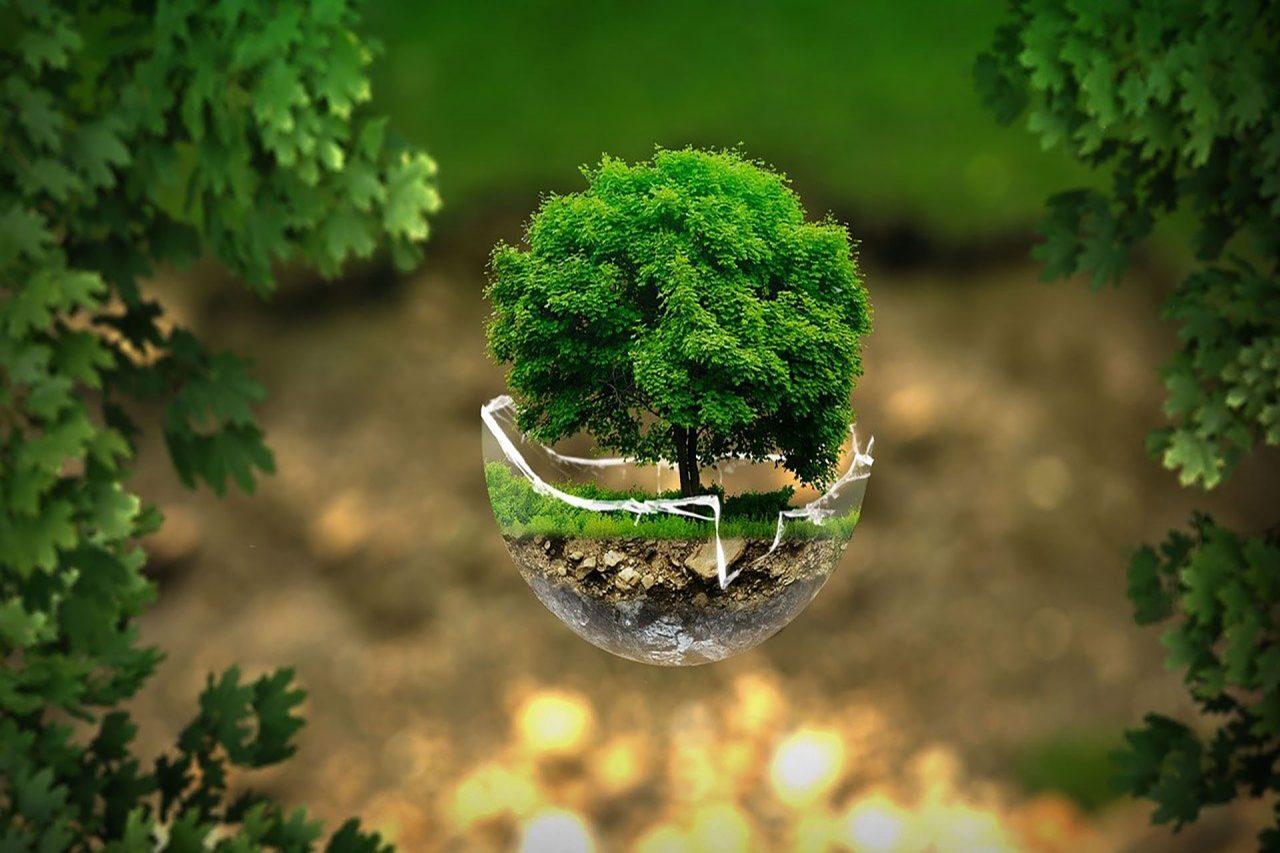 ESG https://rayple.com/wp-content/uploads/2022/05/ESG-1280x853.jpg